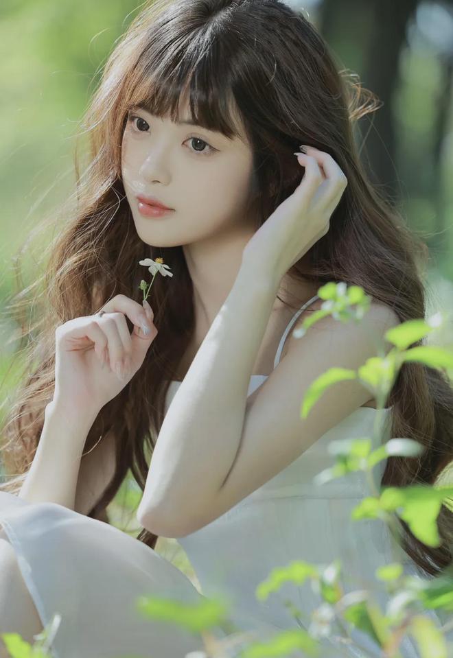 雍正宠肉系统nhj9九游会入口